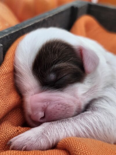 c93b88a6-a218-47fd-ae83-05d0f6de9149