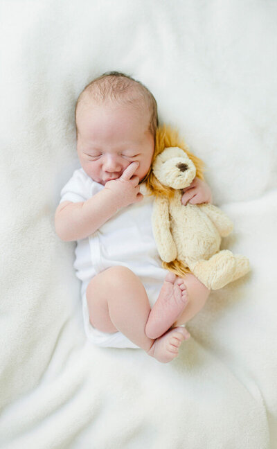 Newborn sleeping with a toy lion, San Francisco