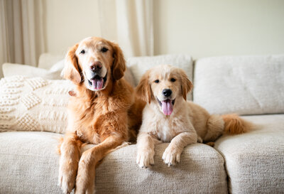 Allie Goodspeed is a wedding photographer based out of Austin, Texas serving Texas and beyond.