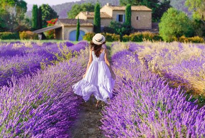 A woman in a white dress and straw hat walks through a lavender field, with vibrant purple flowers surrounding her. In the background, there's a rustic stone house and green trees under a clear sky.