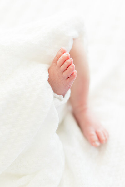 newborn photographer plano