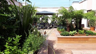 Terrasse aménagée avec palmiers et plantes, table et chaises de jardin