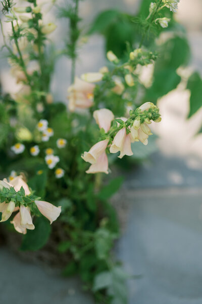 Fine Art Wedding Annapolis, Maryland Megan Harris Photography