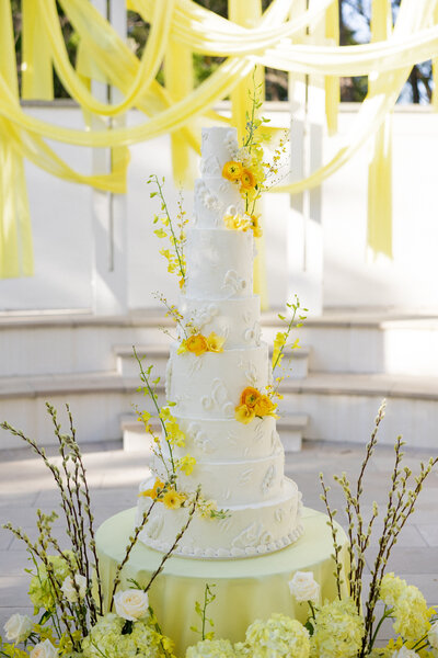 DallasWeddingPhotographer-allieryannphoto-9047