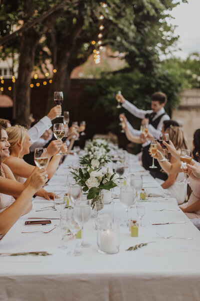Wedding guests raise glasses in outdoor DC Wedding