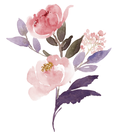 Home [thenaturalphotographyco.com.au]