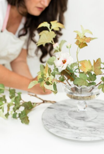 Charlotte Brand Photographer Chrissy Winchester Photography22