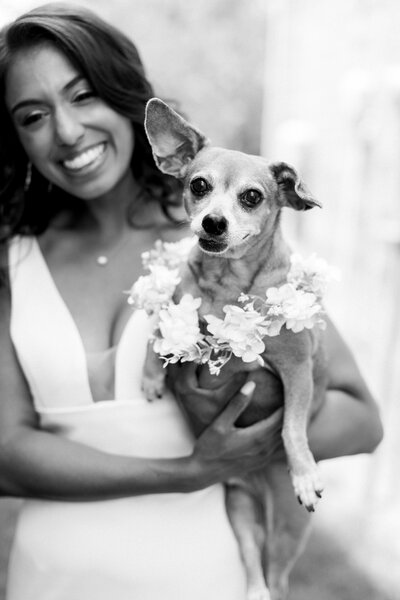 black and white image of dog on a wedding day in southern pines pinehurst north carolina