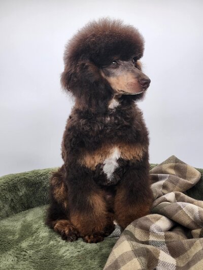 607c1840-9695-4c14-b4eb-56050e1a141b