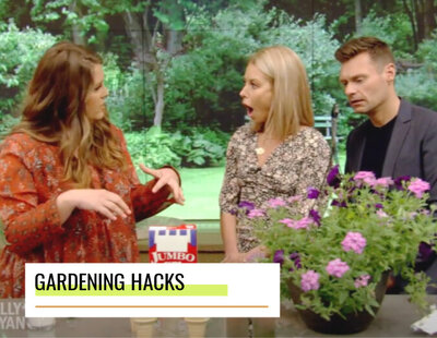 live with kelly and ryan gardening hacks
