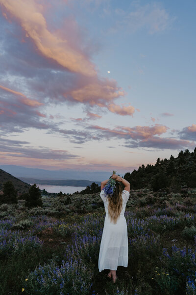 Flowers in the Field | Tori Stanton Photo