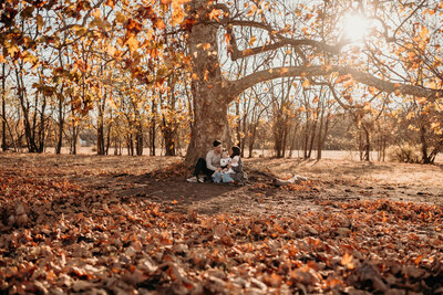 fall photos family under a tree-Family-photography-lehigh-valley-pennsylvania