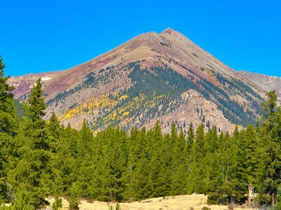 mountain with clear sky and evergreens