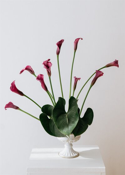Modern floral arrangement