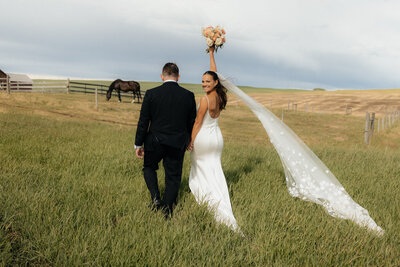 wedding couple in a field with a horse in the background