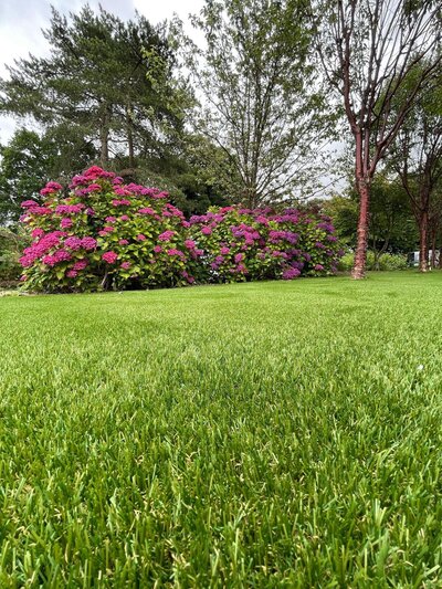artificial grass