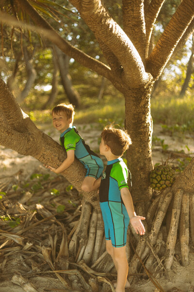 two brothers climbing the trees at main beach evans head