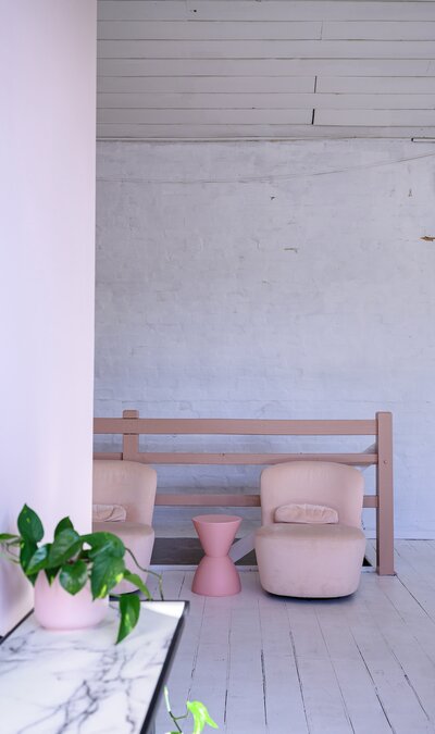 Interior Lottie Brows