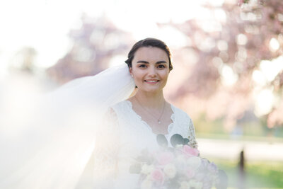 A bridal portrait of Taylor with her veil blowing into the Foreground, with a backdrop of Soft Petals of Cherry Blossoms