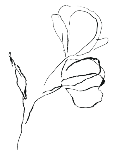 Flower line art