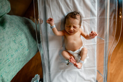 newborn-diapered-hospital-bassinet