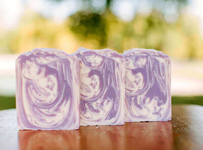 lavender scented bars of goat milk soap displayed on a table