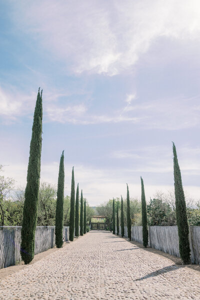 Xiaoqi-Li-Photography-2024-02-23-Rancho-Luna-Escondia-San-Miguel-De-Allende-Wedding-Venue-002