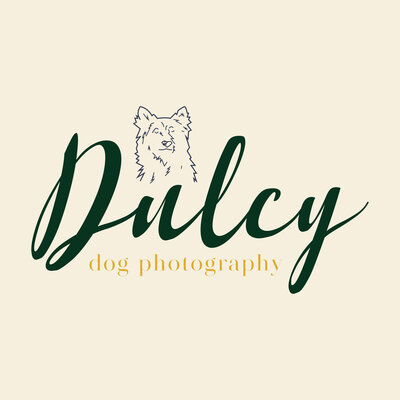 Dulcy Full Color Logo Square