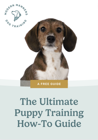 "The Ultimate Puppy Training How-to Guide" with a photo of a brown and white puppy