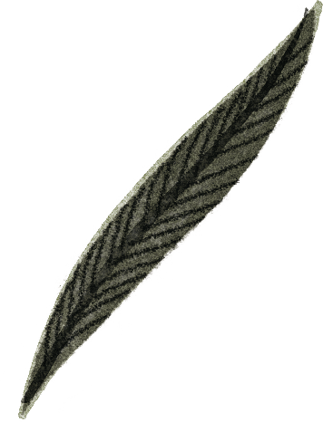 Long Leaf 1 
