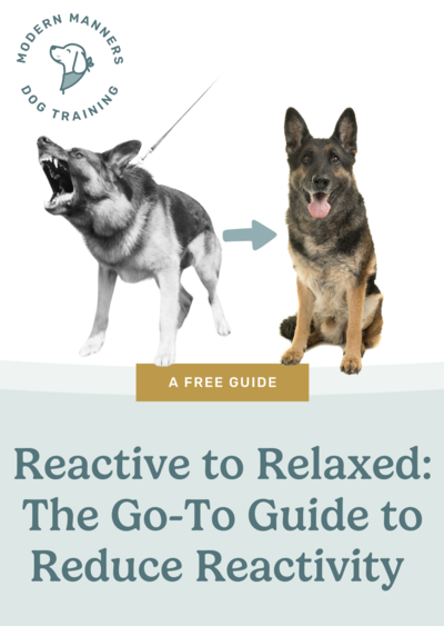 "The Ultimate Puppy Training How-to Guide" with a photo of a brown and white puppy