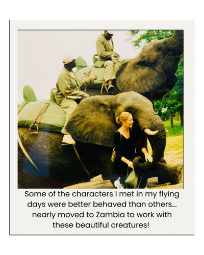 Sam Claire | Creative | Storytelling Copywriter | Every brand has a story.5