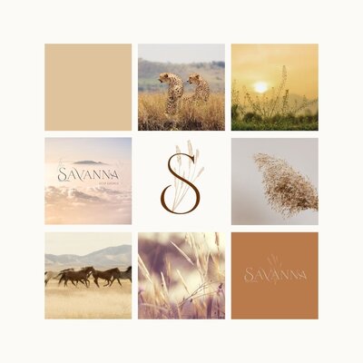 luxury branding moodboard