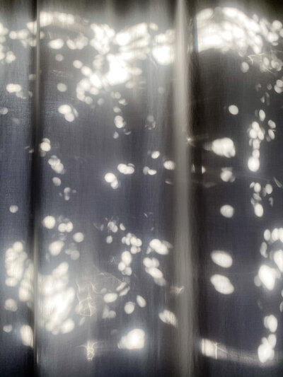 Dark coloured curtains cast with dappled light, giving an ominous vibe