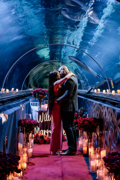 Nawar proposing to Mariam inside aquarium tunnel surrounded by lights, romantic proposal photographed by Zanthe Vorsatz.