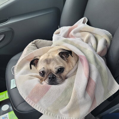 557164539_1226352962867018_983195404786245257_n