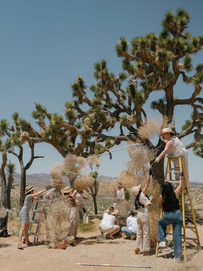 Retreat Teamwork | Amphora Edu