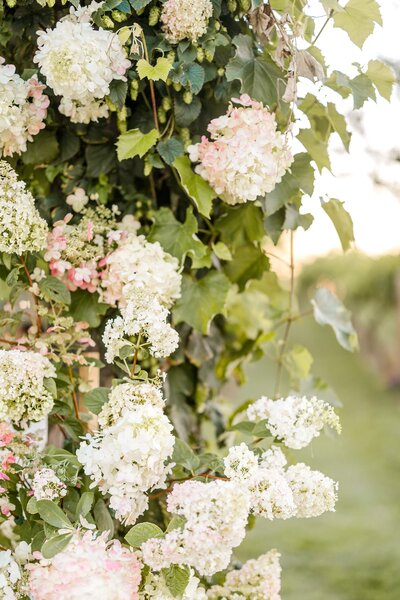 Minneapolis Wedding Photographer Alexandra Robyn