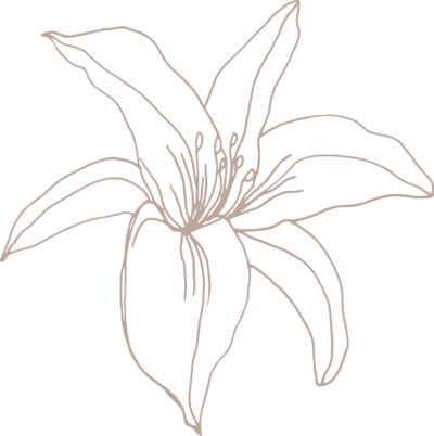 Sketch of a white lily flower at a catholic wedding
