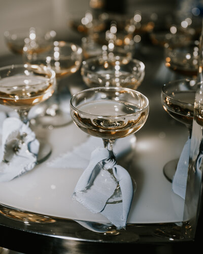IRONANDEMBER_WEDDINGDAY STYLED SHOOT_CHANTELMILLERSTORYTELLING-9229