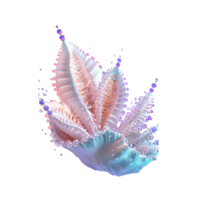 Elegant Seashell in Mermaid Star Template Representing Oceanic Beauty