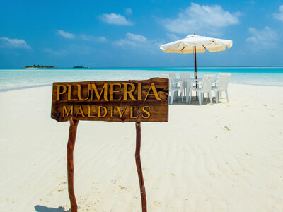 plumeria maldives