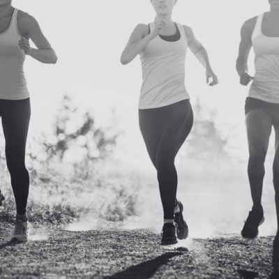 Gut health agency in Florida