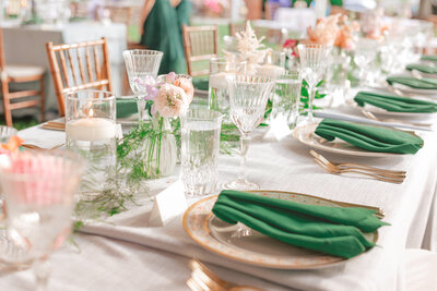 Great Fall Virginia Backyard Wedding in the Spring in DC