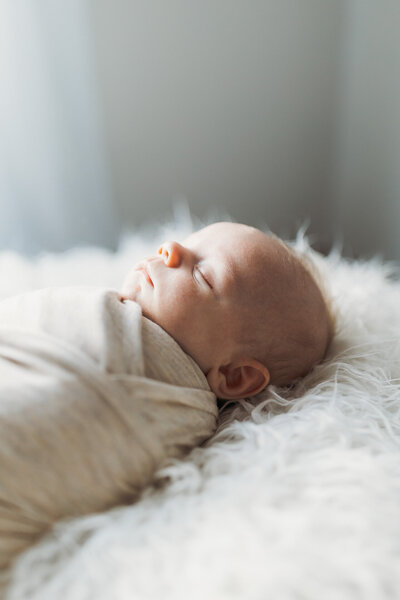 elle michele photography - beaufort photographer - bluffton photographer - hilton head photographer - studio photographer - newborn photographer-4