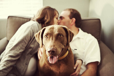 San Francisco pet photography