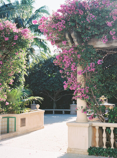 2022-palm-beach-wedding--melissa-piontkowski-photography-3