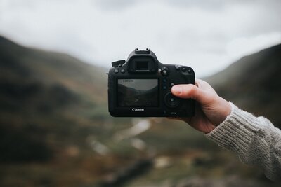 pexels-avonne-stalling-4538783