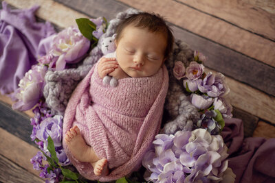 baby-girl-newborn-baby-holding-a-teddy-bear