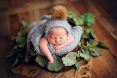 A peaceful newborn boy, wearing a blue hat, sleeps soundly inside a cozy prop during a newborn session with Bia schaefer photography.